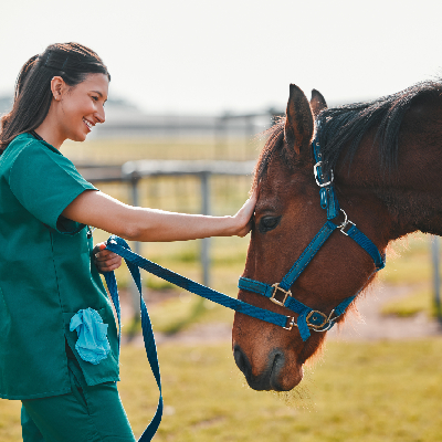 Vétérinaire avec cheval heureux