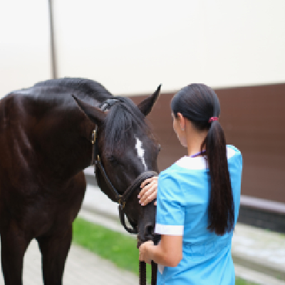 Femme caressant un cheval noir